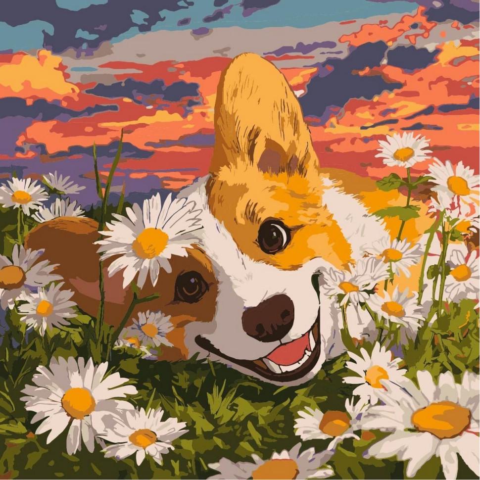 Картина по номерам Ideyka KHO6798 Корги в ромашках 40х40 см (2746681473)