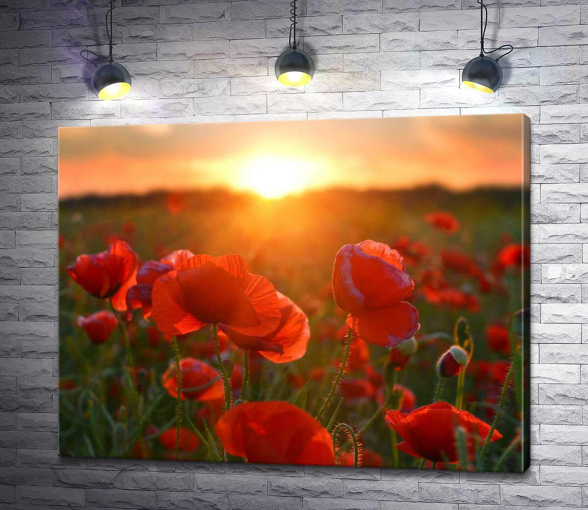 Картина ArtPoster Багряні маки в променях заходу сонця 130x102 см Модуль №1 (004550)