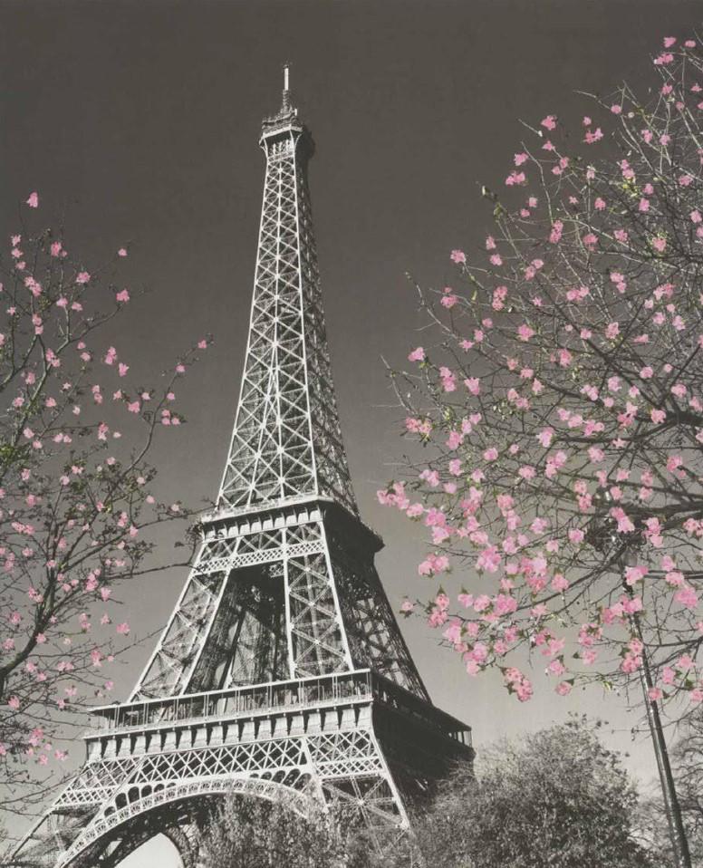 Картина по номерам Josef Otten Города Эйфелевая башня 40х50 см в термопакете (5474Y_O-mt)