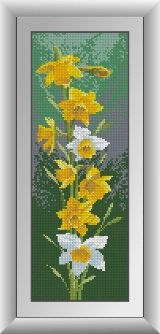 Алмазная мозаика Dream Art Нарциссы (панель) 15x42 см (DA.30030)