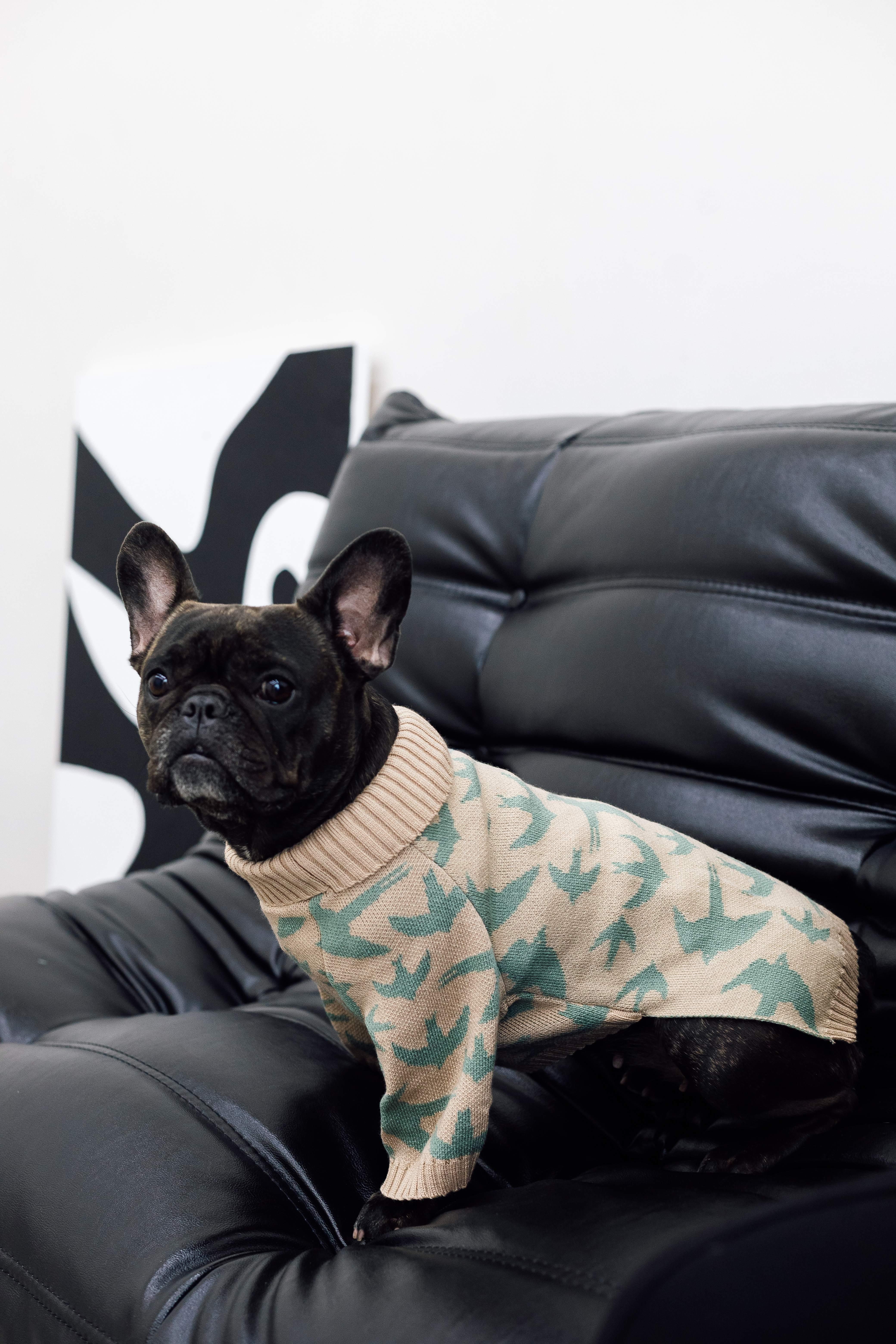 Свитер для собак Dogs Bomba Y-330 Птички вязаный р. 2 Бежевый (15126708)