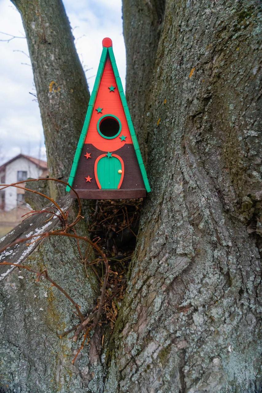 Дом для птиц Андромеда из древесины 325х290х210 мм Светло-Зеленый - фото 6 Дом для птиц Андромеда из древесины 325х290х210 мм Светло-Зеленый - фото 6