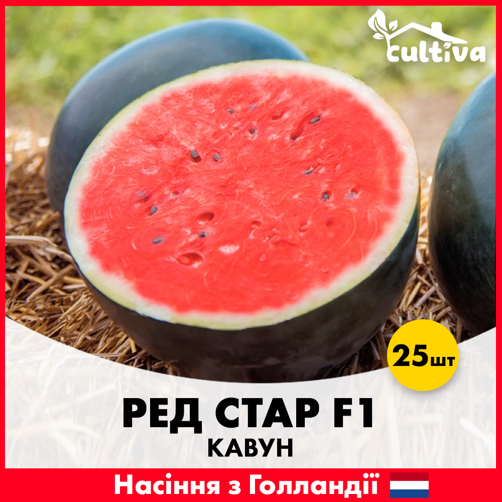 Семена арбуза Nunhems Ред Стар F1 25 шт. (00298-25)