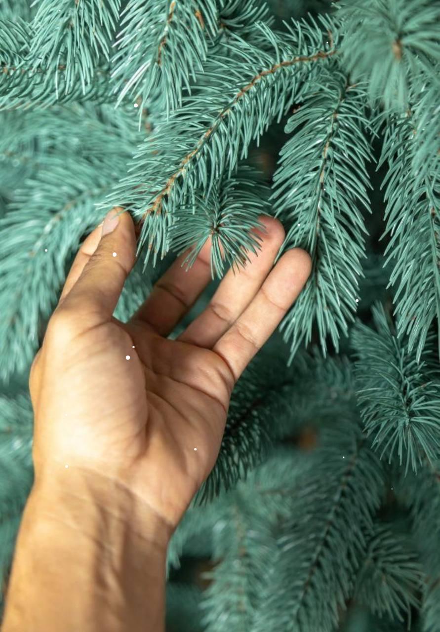 Штучна ялинка лита Буковельська з металевою підставкою 2,50 м Блакитний (NYT15123) - фото 3 Штучна ялинка лита Буковельська з металевою підставкою 2,50 м Блакитний (NYT15123) - фото 3