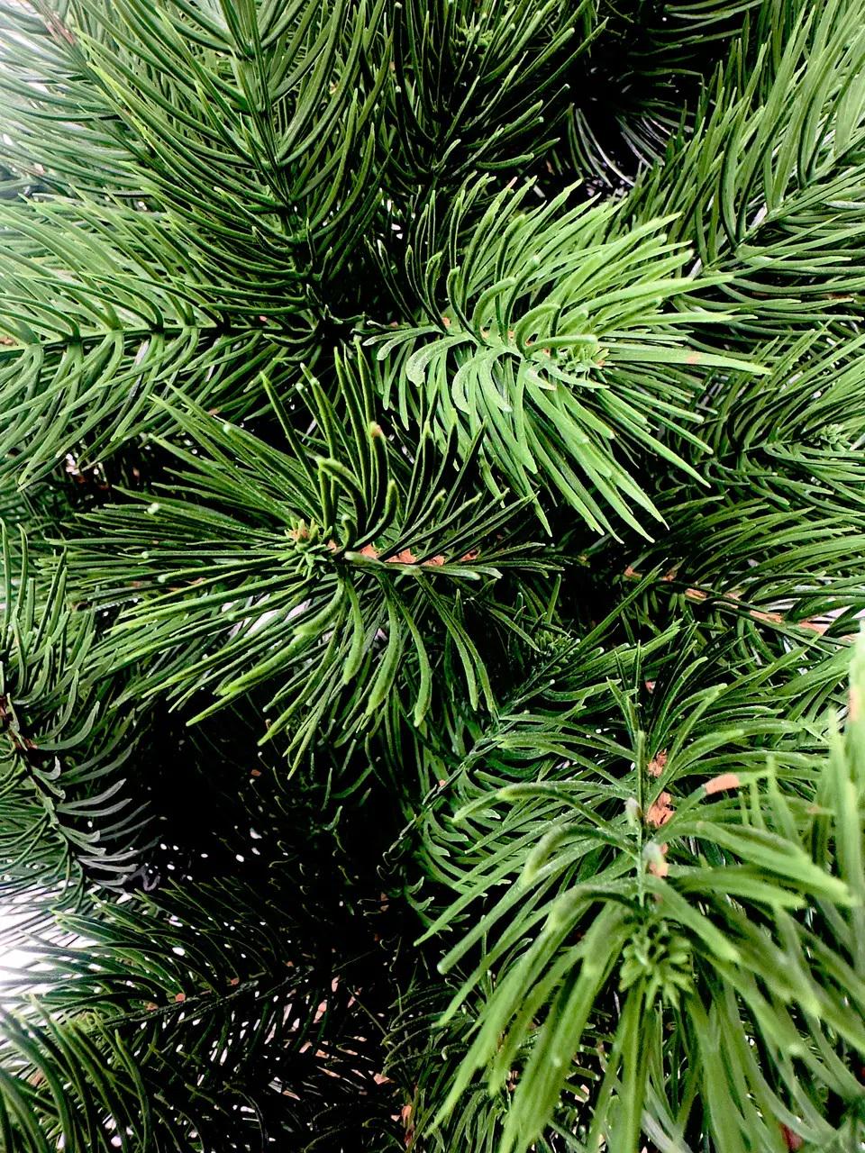 Искусственная елка литая HVOYA Pine Mini в мешковине 70 см Зеленый (810/70/G) - фото 3 Искусственная елка литая HVOYA Pine Mini в мешковине 70 см Зеленый (810/70/G) - фото 3