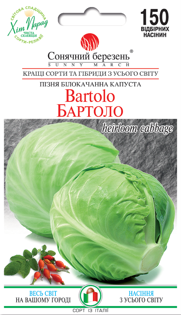 Капуста пізня Сонячний березень Бартоло (430)