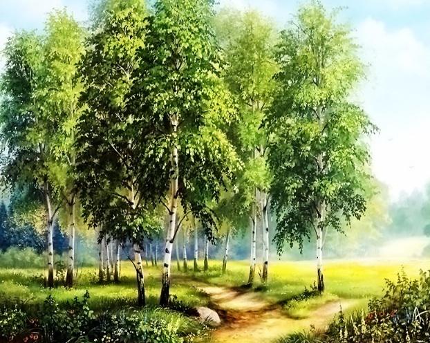 Алмазная мозаика My Art Березовая поляна на подрамнике квадратные алмазы 40х50 см (12129962)