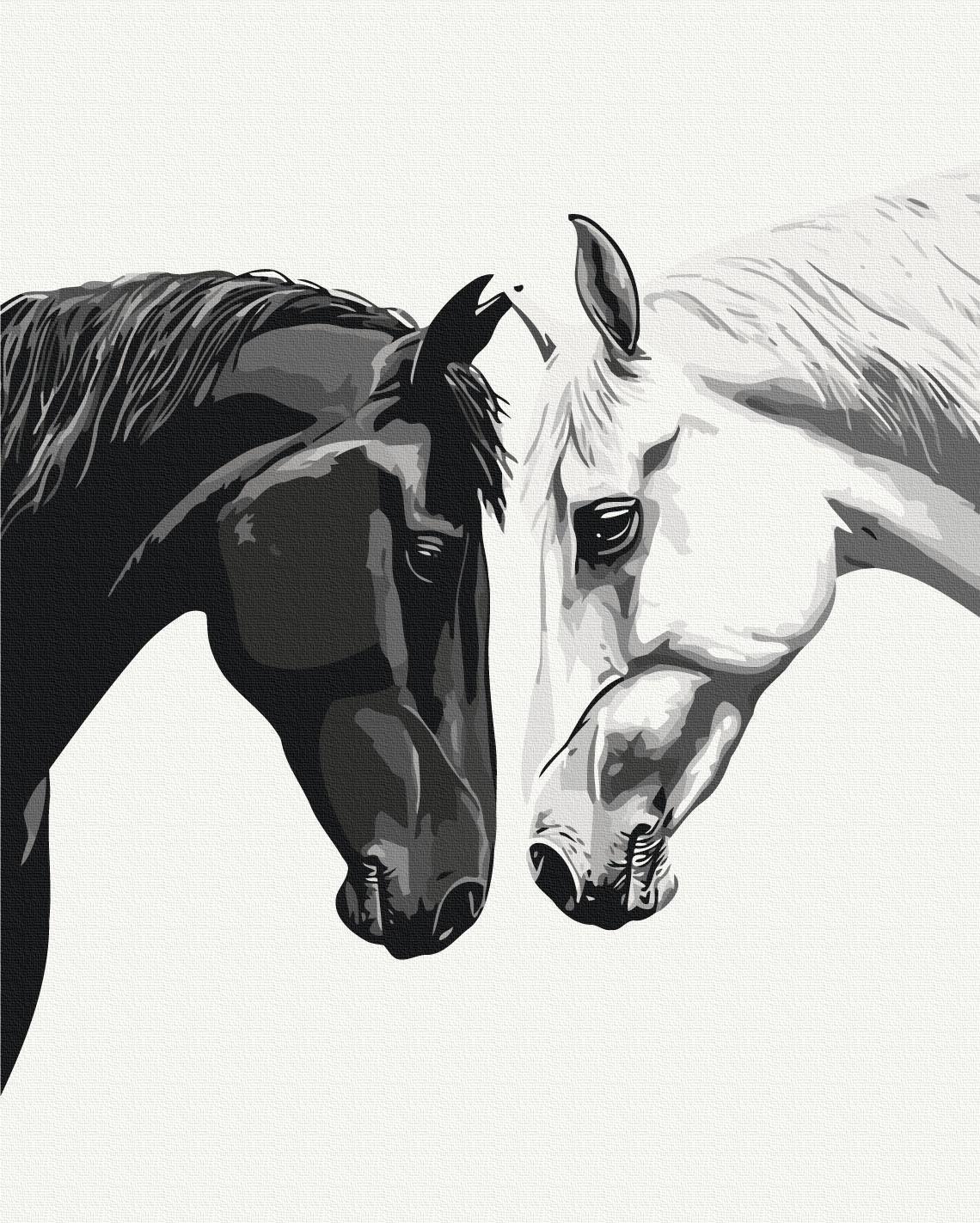 Картина за номерами Brushme Між темрявою та світлом 40x50 см (BS54427) Картина за номерами Brushme Між темрявою та світлом 40x50 см (BS54427)