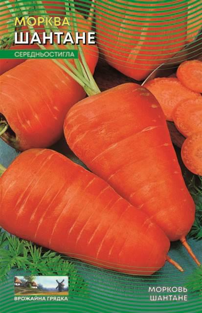 Морква Шантане 15 г (304)
