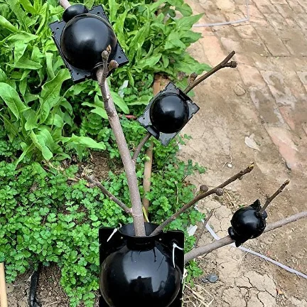 Шар для укоренения растений для бережного выращивания корней растений M-8 см 6 шт. (Y00611-2) - фото 9 Шар для укоренения растений для бережного выращивания корней растений M-8 см 6 шт. (Y00611-2) - фото 9