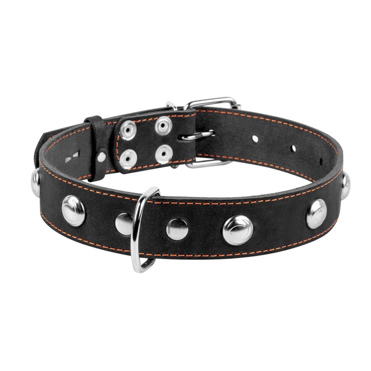 Ошейник Collar одинарный с украшениями 35 мм х 48-63 см Черный (02711 Col)