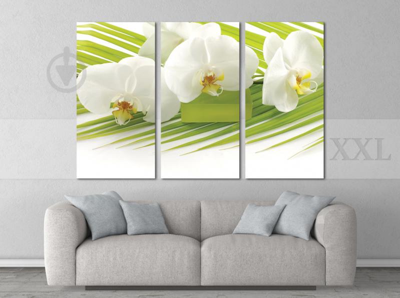 Модульна картина Poster-land Квіти Art-34_XXL