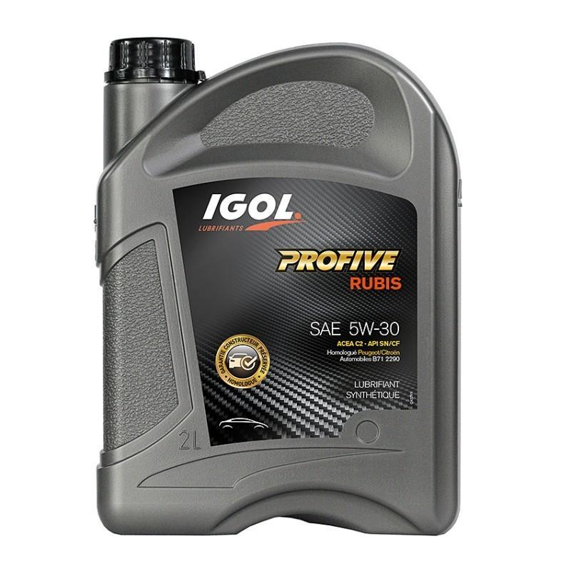 Моторное масло IGOL PROCESS RUBIS C2 C3 5W-30 2 л (18075821)
