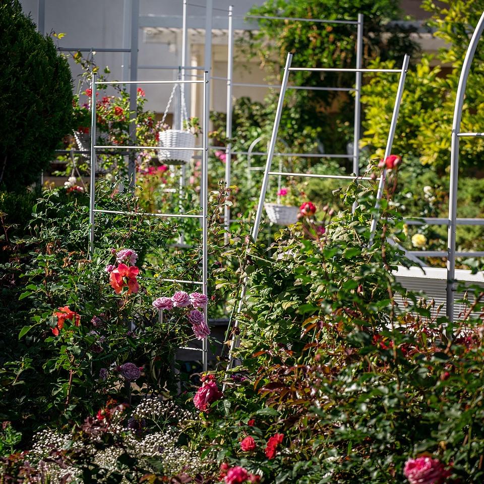 Опора для растений шпалера садовая 1600х1330 мм d 20 мм/d 12 мм (ШС-D20/D12-1600*1330) - фото 3