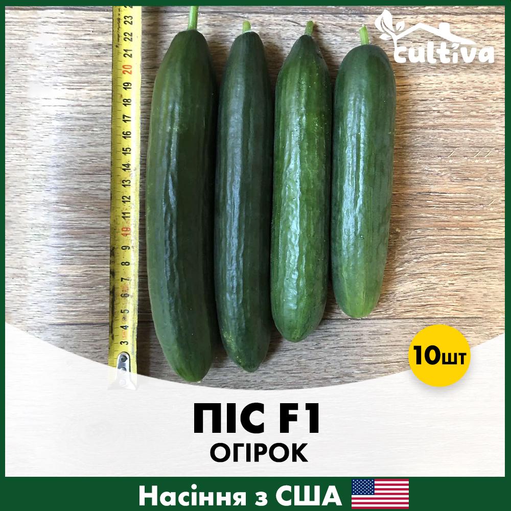 Семена огурца Spark Seeds Пес F1 10 шт. (R51123)