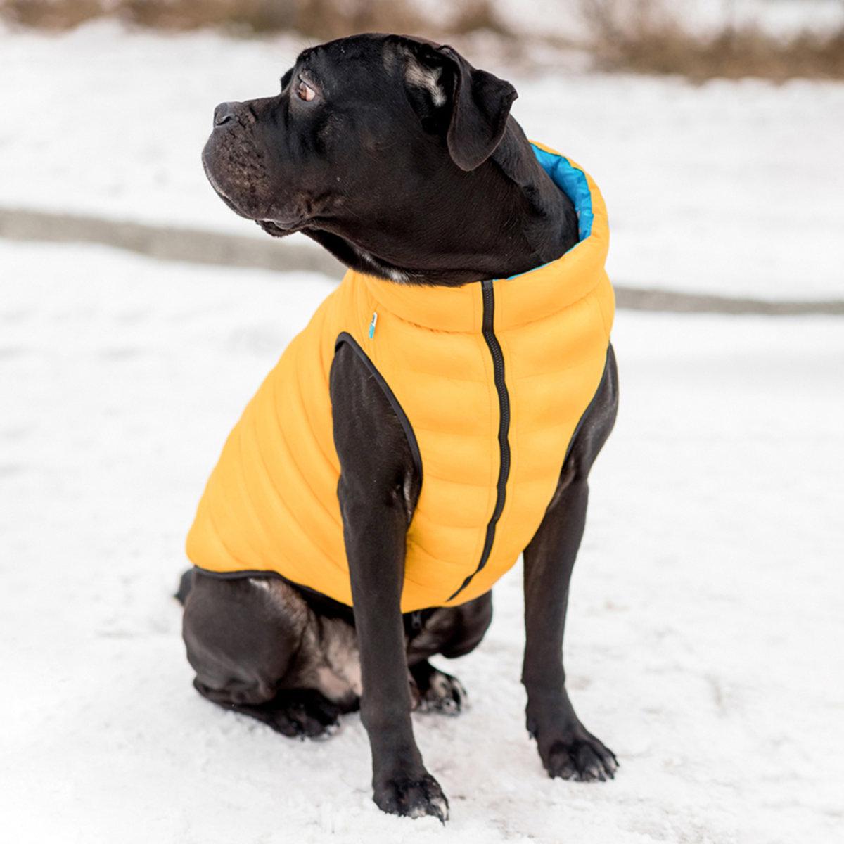 Курточка двухсторонняя AiryVest для собак Colors of freedom L 55 (4449-4020 Col) - фото 5 Курточка двухсторонняя AiryVest для собак Colors of freedom L 55 (4449-4020 Col) - фото 5