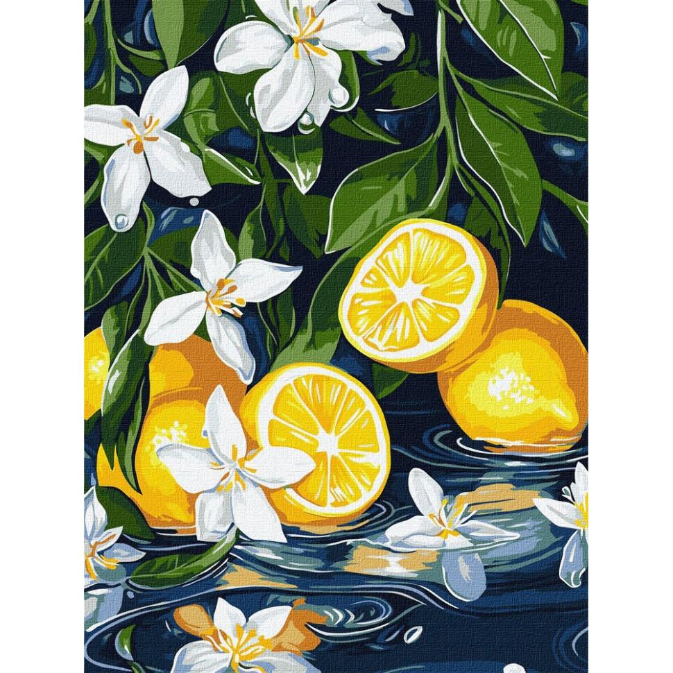 Картина по номерам Ideyka Лимон в разрезе 30x40 см (KHO5733)
