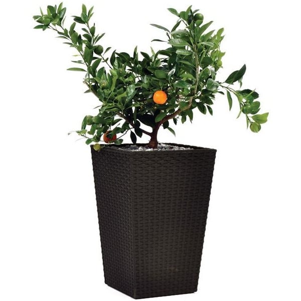 Горшок Keter Large Rattan Planter Коричневый (17192302521)