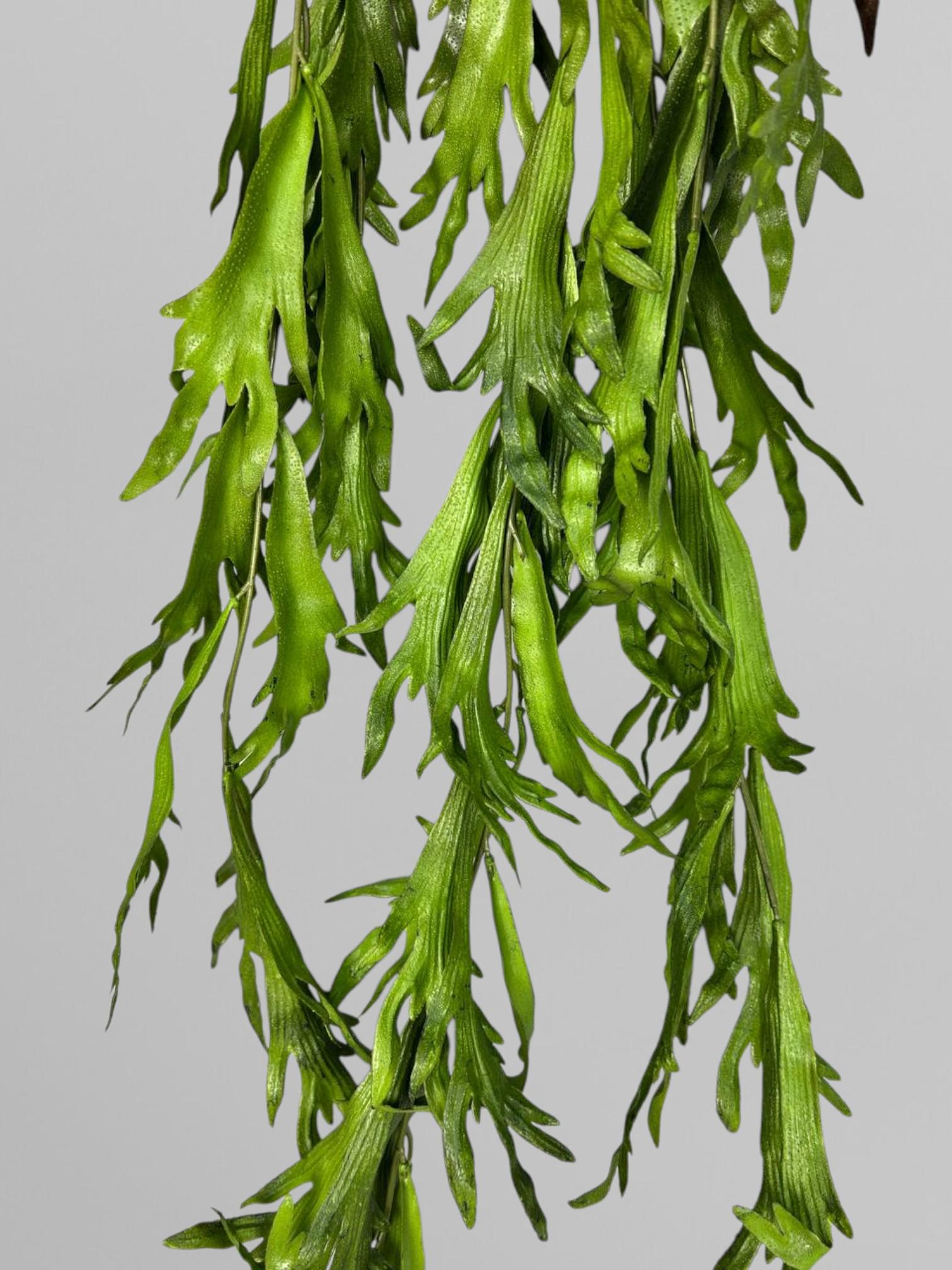 Искусственный папоротник платицериум 110 см Зеленый (Р01038) - фото 5 Искусственный папоротник платицериум 110 см Зеленый (Р01038) - фото 5