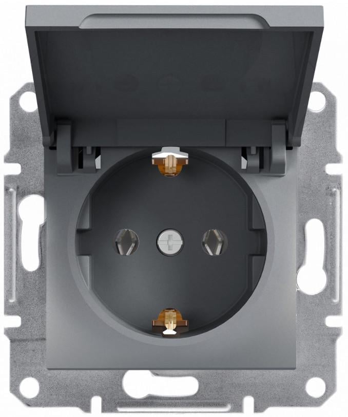 Розетка с заземлением Schneider Electric Asfora с крышкой Сталь (EPH3100162)