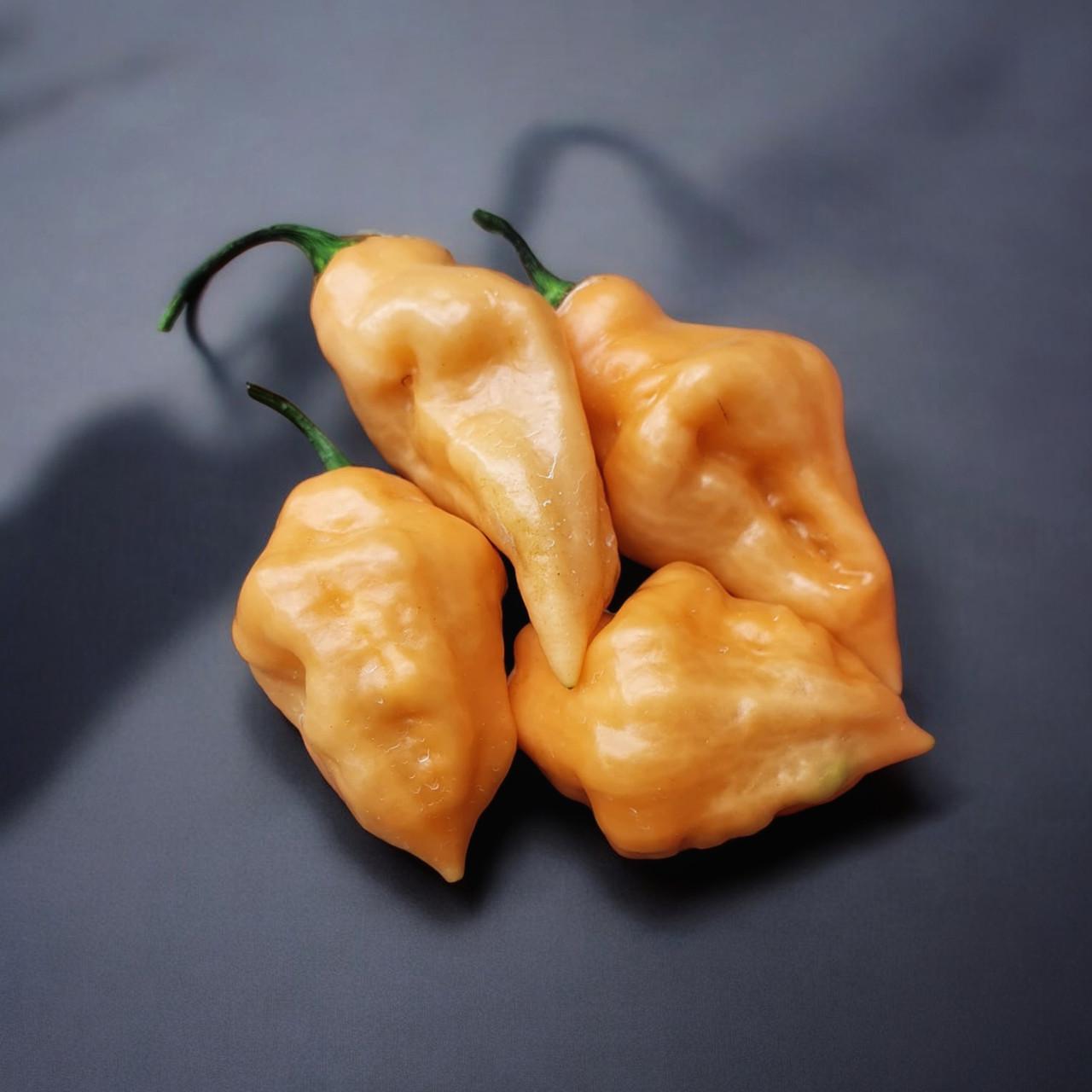 Насіння Trinidad Moruga Scorpion Peach Long Capsicum chinense Перець гострий 5 шт. (2462175552)