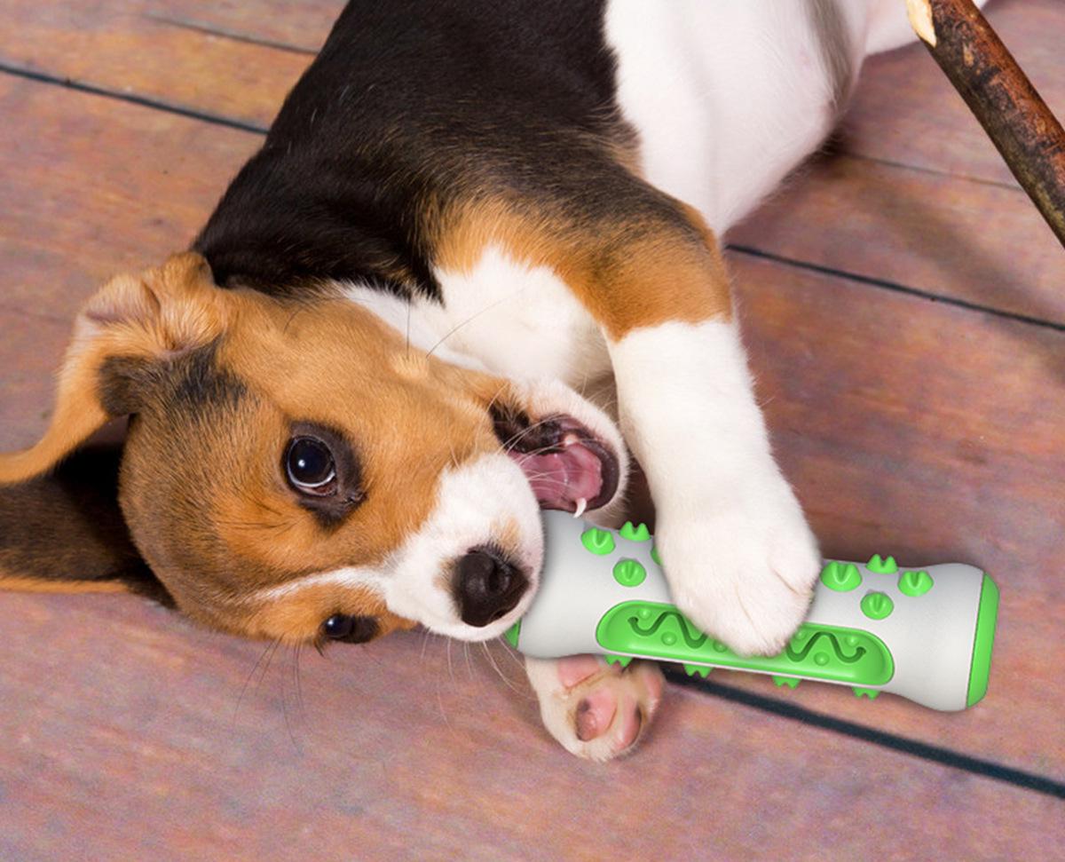 Іграшка для чищення зубів для собак 11507 15х5х4,2 см Зелений (4570276) - фото 5 Іграшка для чищення зубів для собак 11507 15х5х4,2 см Зелений (4570276) - фото 5