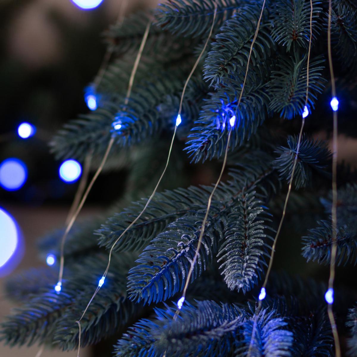 Гірлянда GarlandoPro Кінський хвіст 1733010BL 200 LED 10 ниток від мережі 2 м Білий/Синій (126-107-1733010BL )