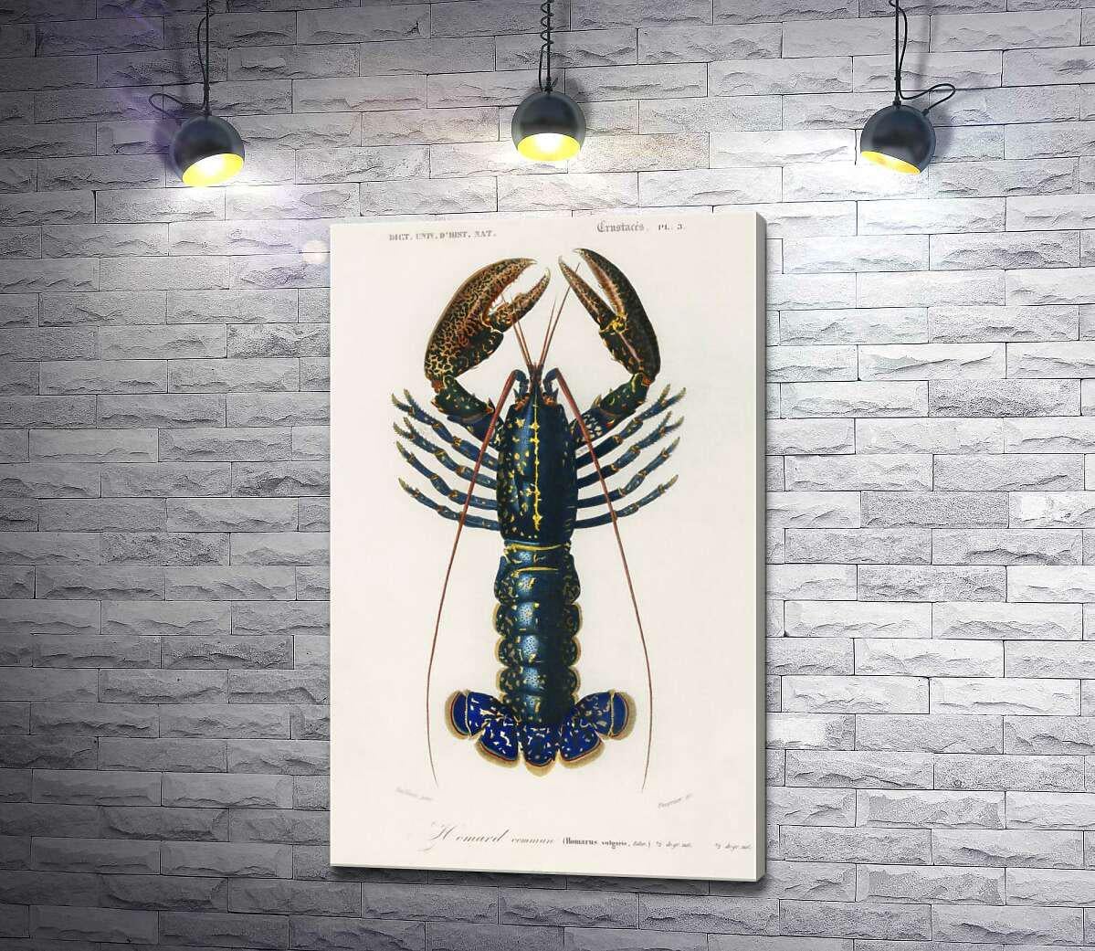 Картина ArtPoster Голубой панцирь американского лобстера 82x130 см Модуль №1 (003505)