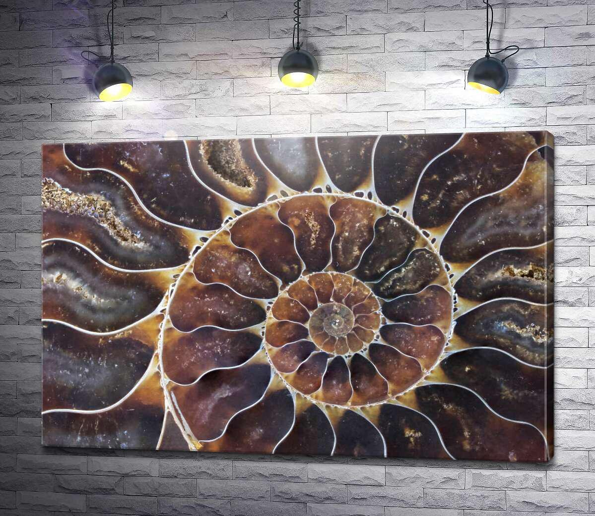 Картина ArtPoster Идеальная спираль ракушки 100x67 см Модуль №1 (004351)