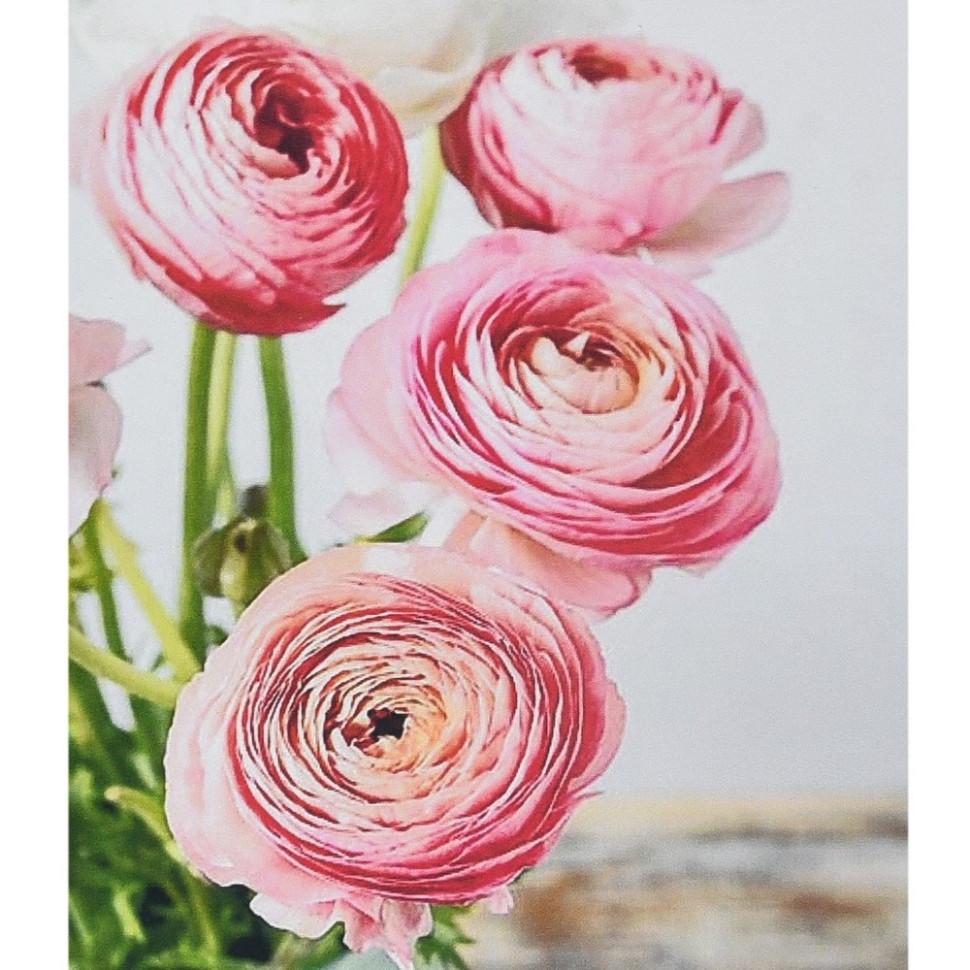 Алмазна мозаїка Strateg Рожева симфонія HEG87059 30х40 см (RLT49822) Алмазна мозаїка Strateg Рожева симфонія HEG87059 30х40 см (RLT49822)