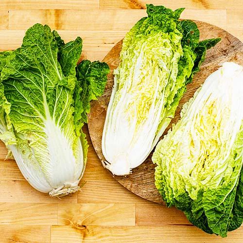 Семена Капуста Florium пекінська Мікадо F1 (7852)