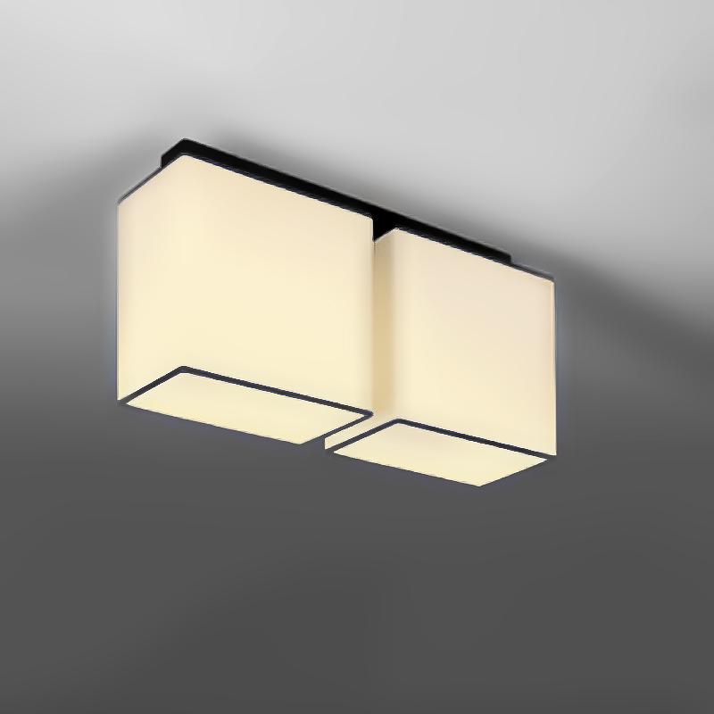 Люстра потолочная Light House NM-14546/2B BK WT на две лампы Черный