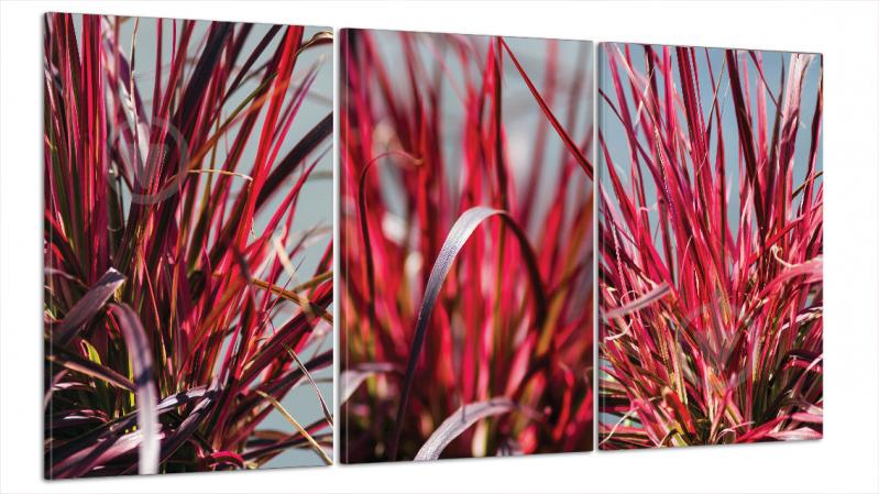 Модульна картина Poster-land Природа Рослина Art-28_B3