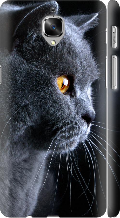 Чехол на OnePlus 3T Красивый кот (3038c-1617-42517) Чехол на OnePlus 3T Красивый кот (3038c-1617-42517)