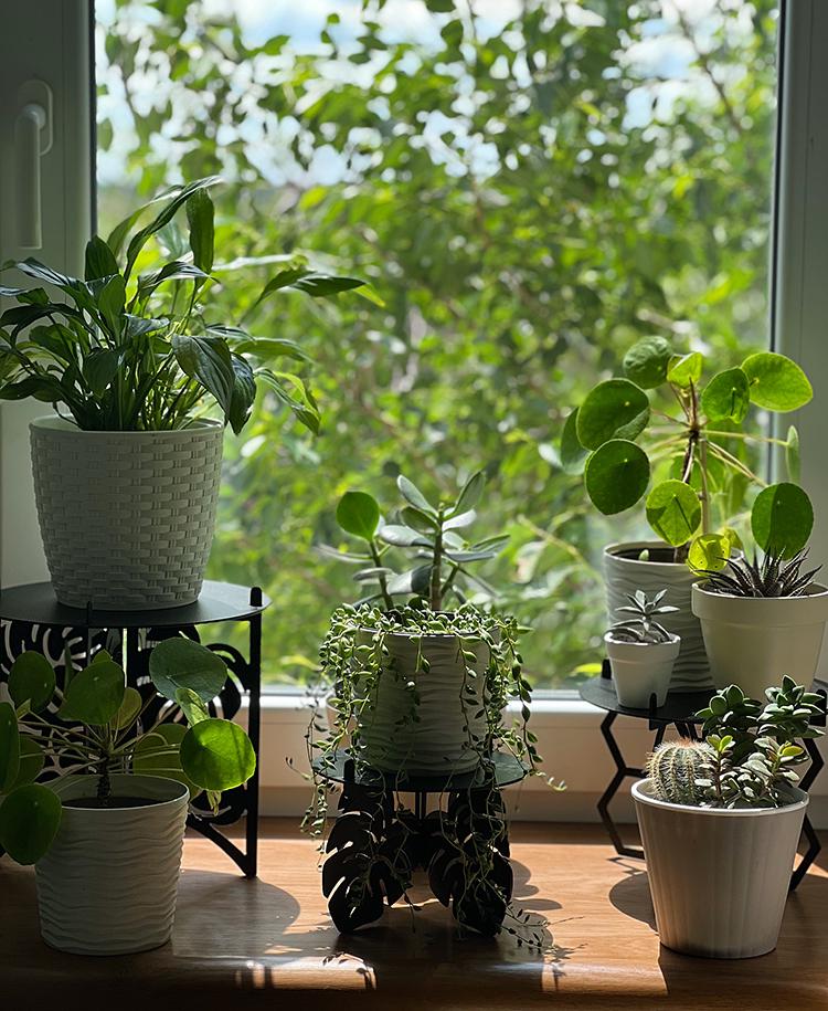 Подставка металлическая для вазонов NC Home Stand Черный (110399) - фото 4 Подставка металлическая для вазонов NC Home Stand Черный (110399) - фото 4