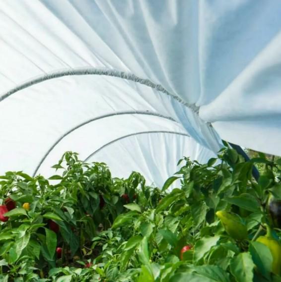 Теплица для дачи Агро-Лидер 42 г/м2 5 м (ПАВ000021) - фото 5 Теплица для дачи Агро-Лидер 42 г/м2 5 м (ПАВ000021) - фото 5