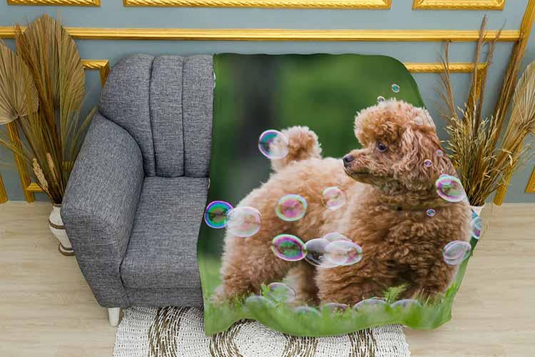 Плед Рoodle with soap bubbles плюш двухслойный 150х210 см (113452-3)