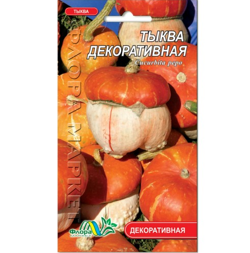 Насіння гарбуза Декоративний помаранчевий 0,5 г (26651)