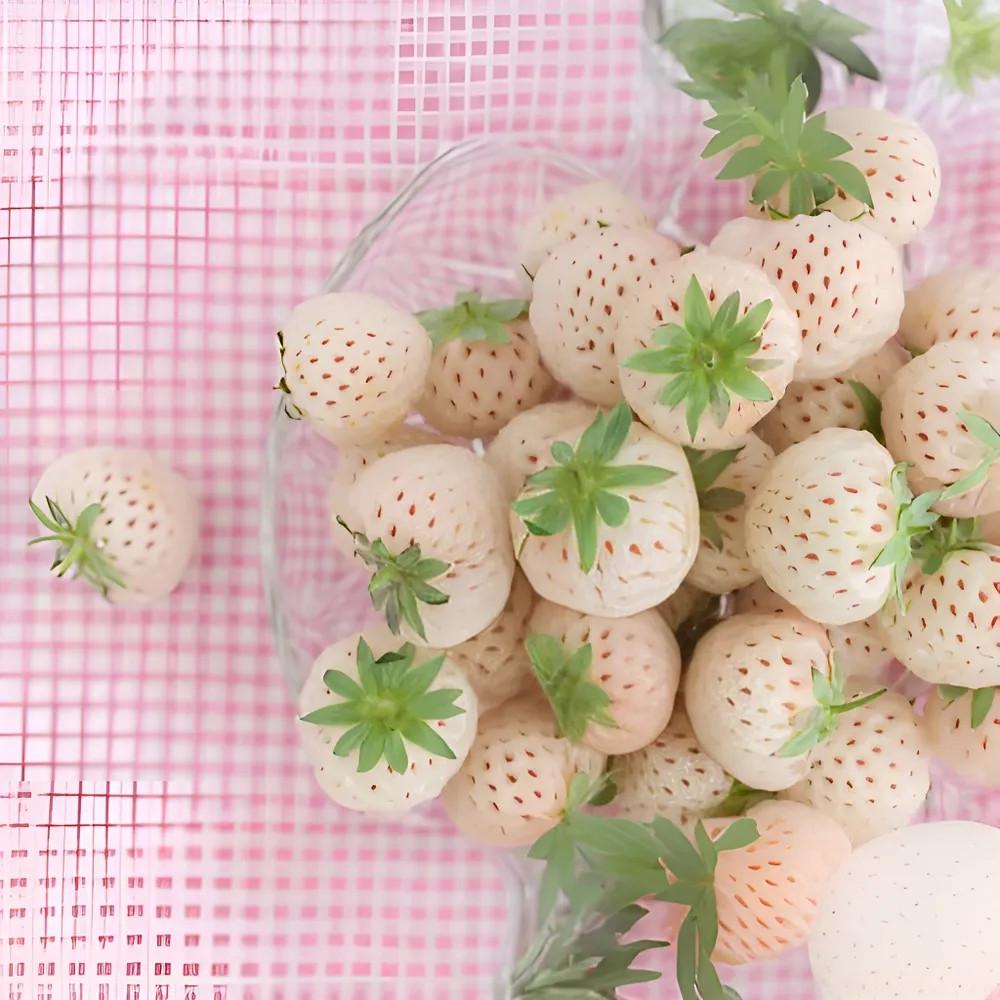 Насіння кімнатної ремонтантної кремово-білої полуниці сорту Datian Sweet Ананасна 100 шт. - фото 4