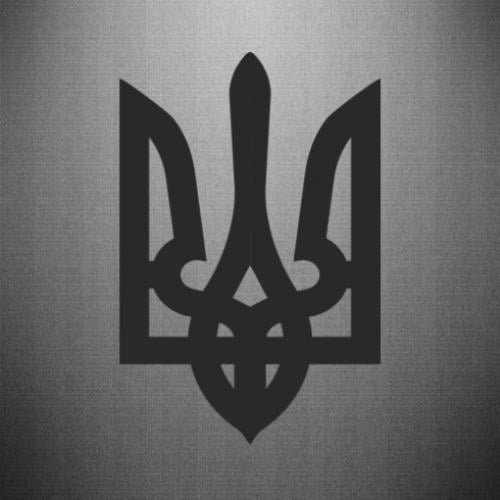 Наклейка Герб Украины 33,2x50 см Черный (21560902)