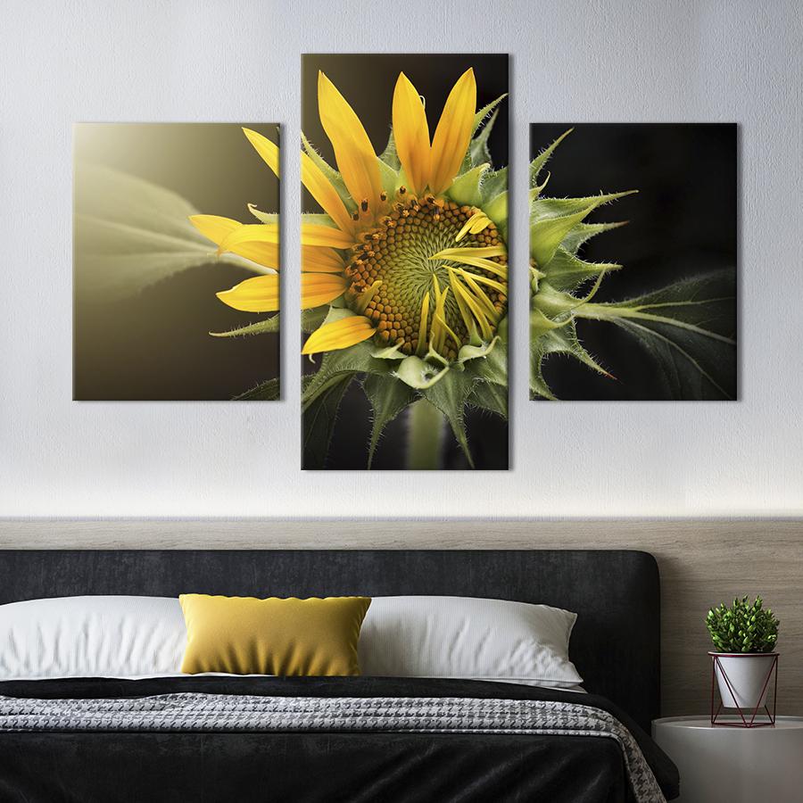 Картина на холсте триптих Цветение солнечного подсолнуха 96x60 см (996-32)