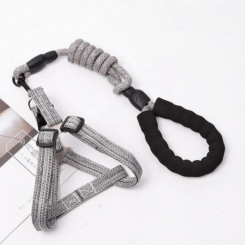 Шлейка с поводком для средних и больших собак KALYU XL Серый (shleyka.XL.grey)