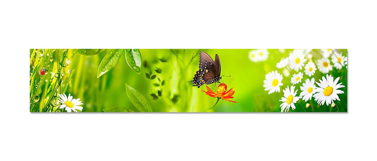 Наклейка виниловая на кухню Zatarga Бабочка 02 600х3000 мм (1304776371)