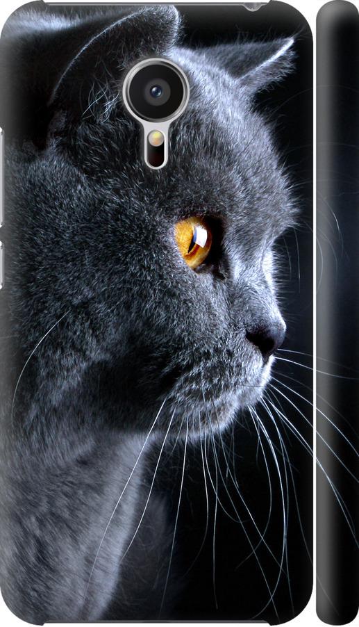 Чехол на Meizu MX5 Красивый кот (3038m-105-42517)