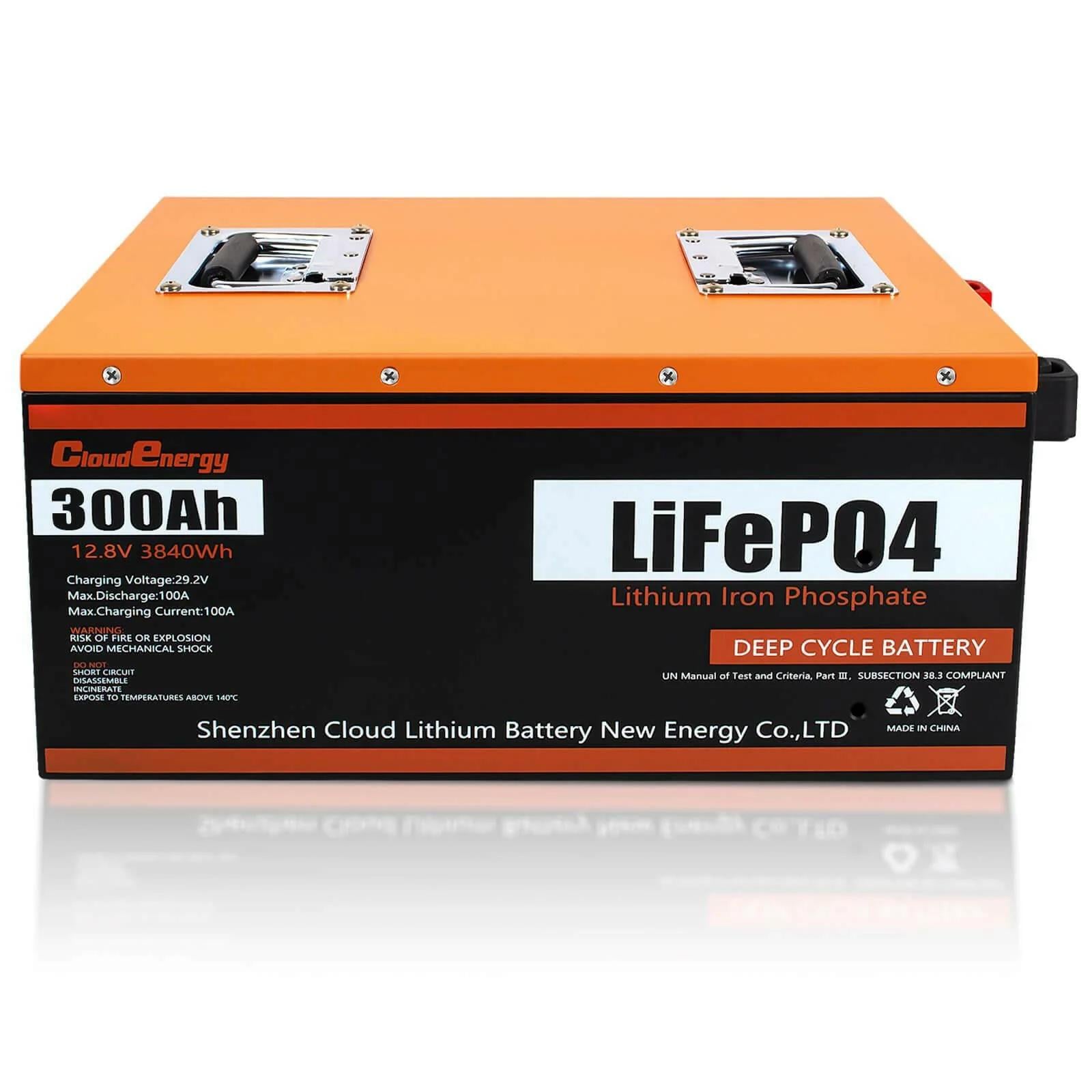 Аккумулятор LiFePO4 Cloud Energy CL12-300 (341887) Аккумулятор LiFePO4 Cloud Energy CL12-300 (341887)