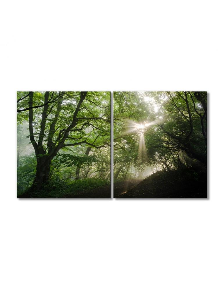 Картина модульная Солнечный свет проходит сквозь зеленые листья в лесу 2 модуля 40х60 см