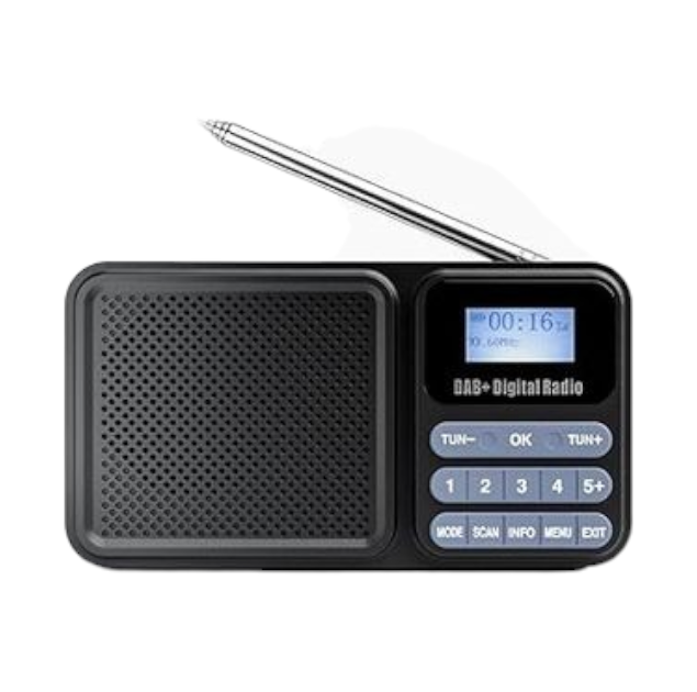 Цифровое радио gallypek DAB-P11 Black