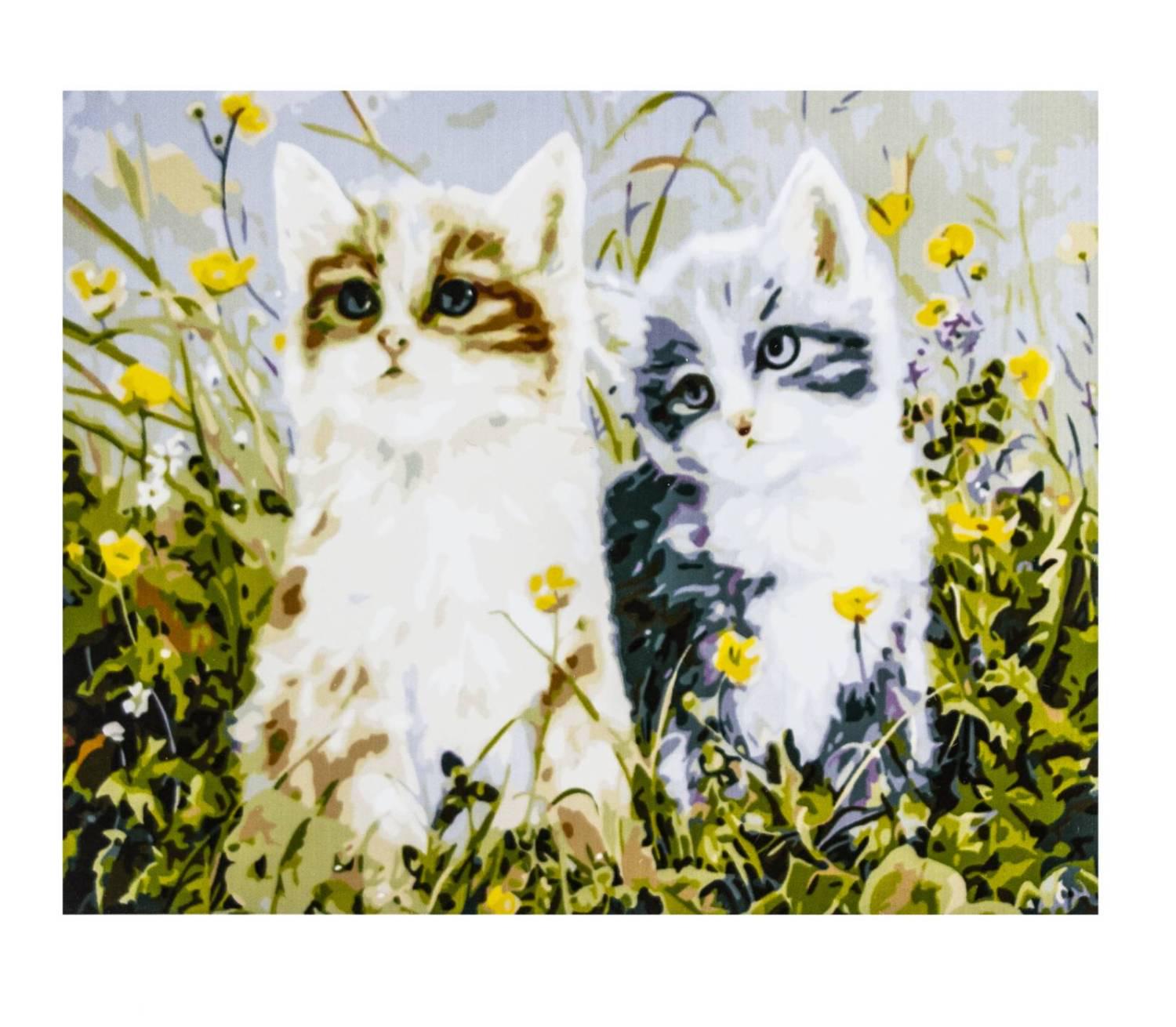 Картина по номерам Котики с красками и кистями 40х50 см Multicolor (6835) Картина по номерам Котики с красками и кистями 40х50 см Multicolor (6835)