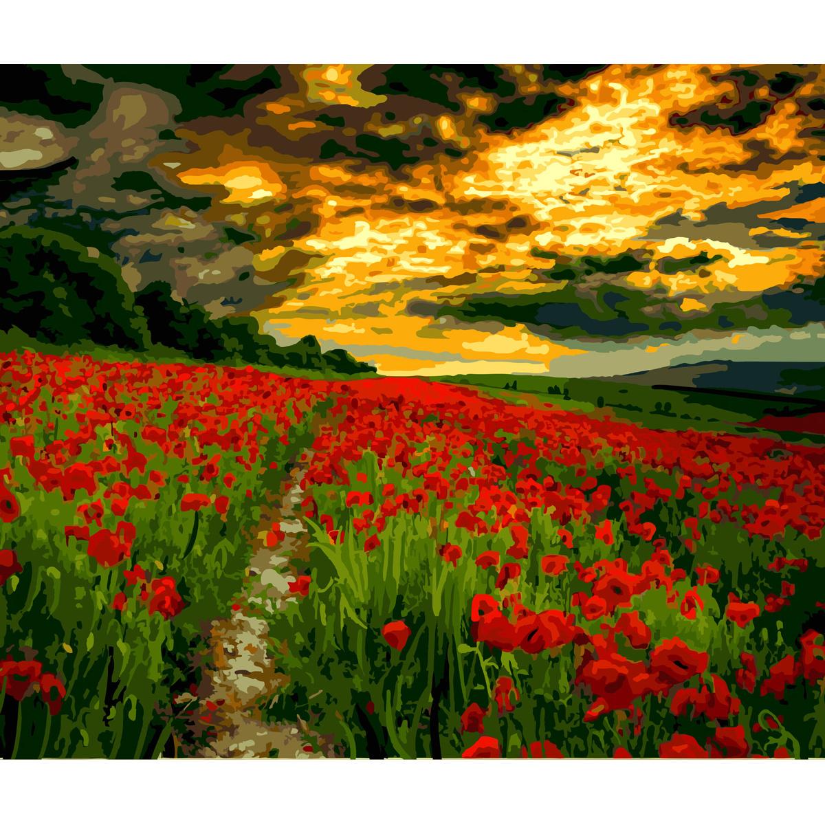 Картина по номерам Strateg Премиум Небо над маковым полем 40x50 см (SY6617)