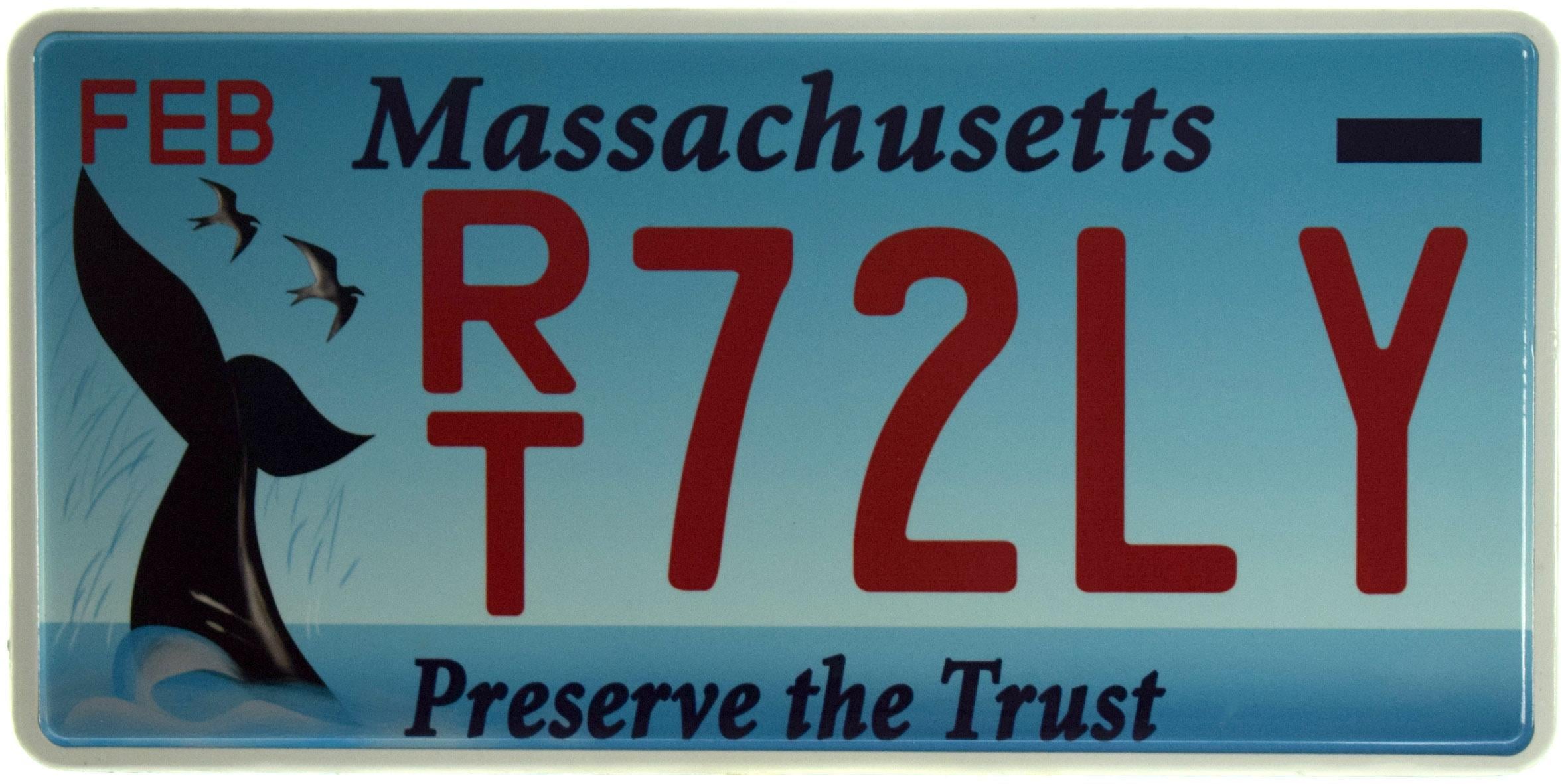Табличка металлическая "Massachusetts RT 72LV" 15x30 см (ms-103729)